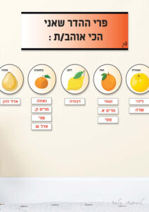 פרי ההדר שאני אוהב דגם עיגול