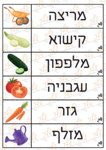 כרטיסי אוריינות בנושא הגינה + דף עבודה (2)